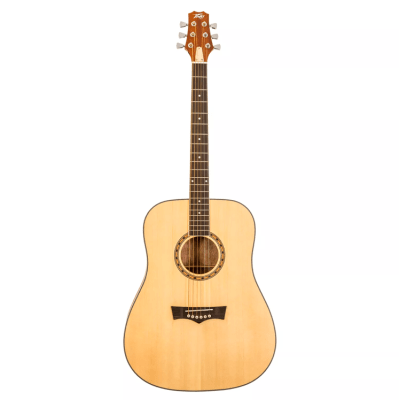 Guitarra Acustica Metal DW1