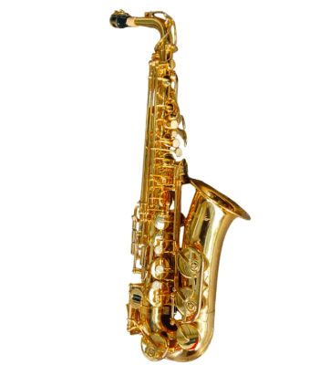 Saxo Alto H.HOFFER HAS100