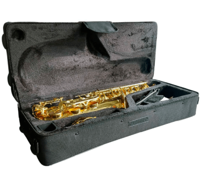 Saxo Alto H.HOFFER HAS100