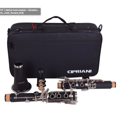 Clarinete 17 Llaves Negro CL-17P CIPRIANI