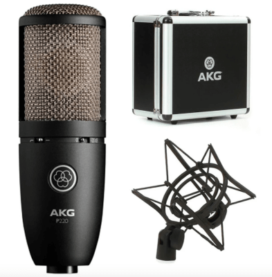 AKG P220 Microfono Condensador