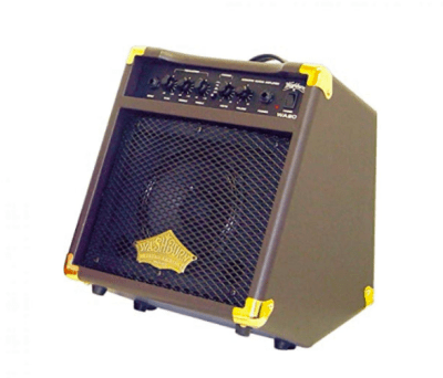 Amplificador de guitarra Washburn WA20