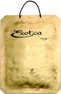 PLatillo GONG ORION EXOTICA GONGO PLACA TUPA 18