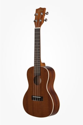 TAYSTE Concierto Ukelele