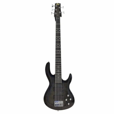 Bajo Electrico De 5 Cuerdas Magnum 5 Palmer Qtbk