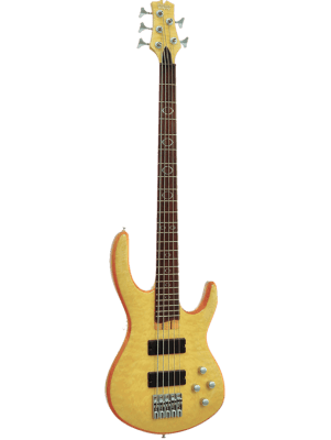 PALMER MAGNUM 5QTN Bajo Eléctrico 5 cuerdas