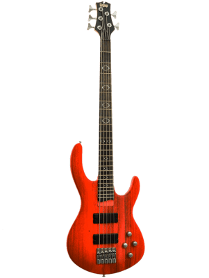 PALMER MAGNUM 5QTR Bajo Eléctrico 5 Cuerdas