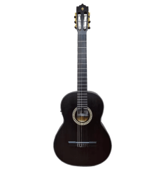Guitarra Electroacustica PALMER PC-17EQ TBK