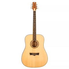 Guitarra Acustica Metal DW1