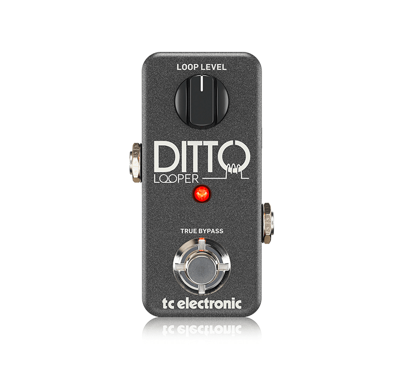 Pedal Looper DITTO LOOPER TC ELECTRONIC | centralmusic