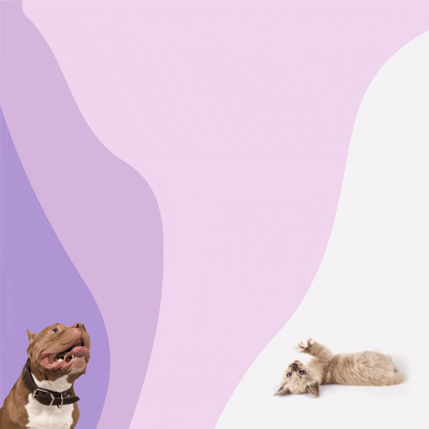 ¿Compras al por mayor? ¡contáctanos!