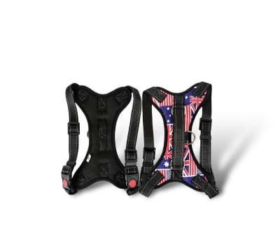 ARNÉS DISEÑO INGLATERRA