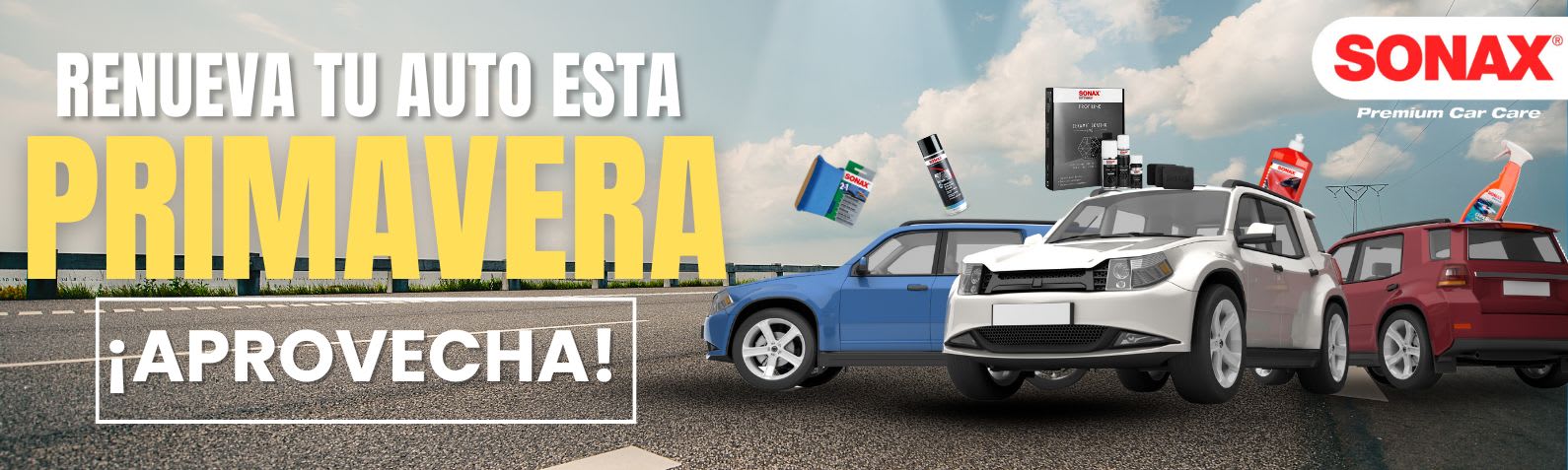 LIMPIEZA PARA AUTO
