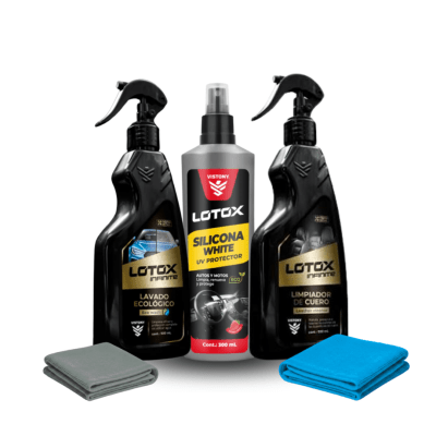VISTONY LOTOX COMBO ECO CARE1