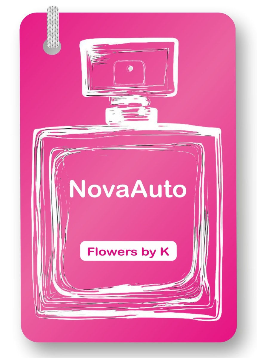 NOVA AMBIENTADOR PARA CARRO LAMINA10