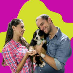 Guía Completa de Cuidado y Bienestar para Mascotas