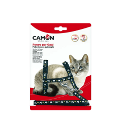 ARNES GATO ADULTO