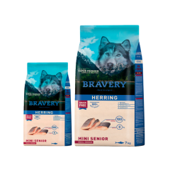 BRAVERY HERRING SENIOR MINI