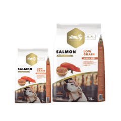 AMITY SALMON ALL BREEDS PERRO