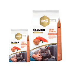AMITY SALMON ADULT CAT