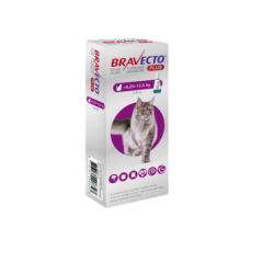 BRAVECTO GATO 6.25 a 12.5 KG