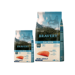 BRAVERY SALMON MINI ADULT
