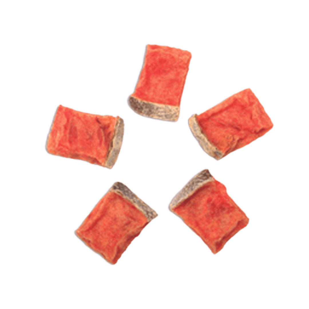 WANPY SALMON ADN FISH2