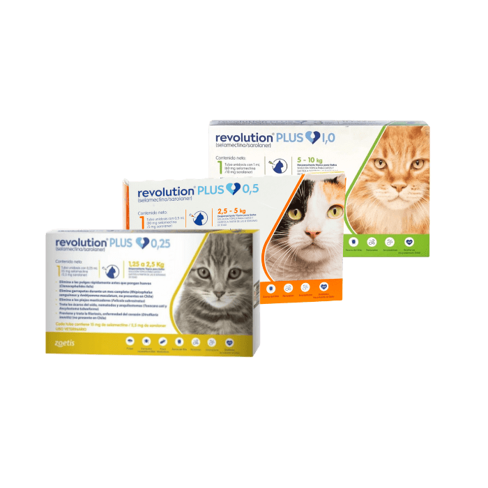 REVOLUTION PLUS4