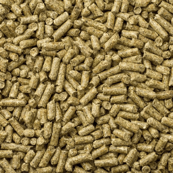 MAZURI TIMOTHY BASED GUINEA PIG 1 KG3