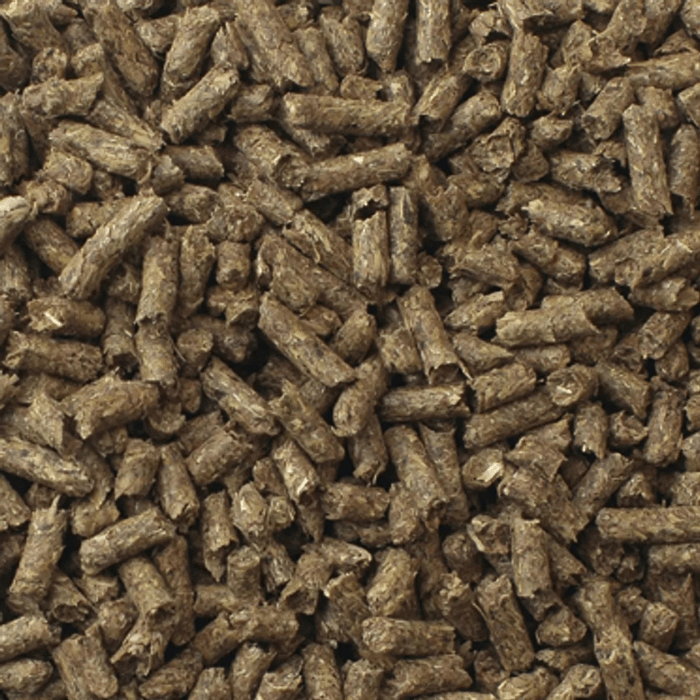 MAZURI TIMOTHY BASED RABBIT3