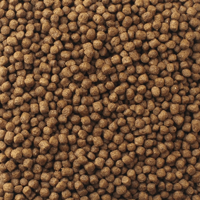 MAZURI TORTUGA ACUATICA 340 GR3