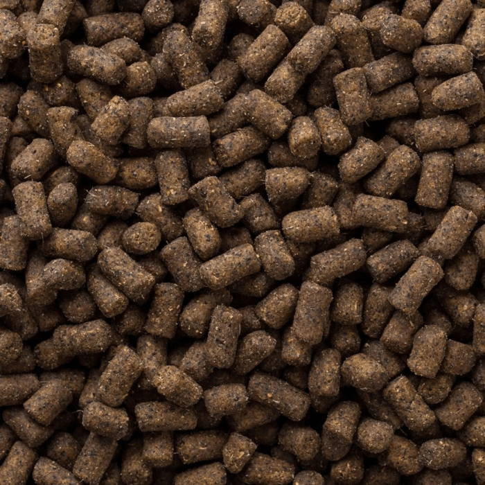 MAZURI FERRET DIET 2,26 KG3