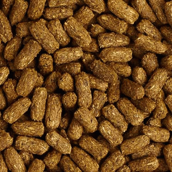 MAZURI TORTUGA TIERRA 340 GR3