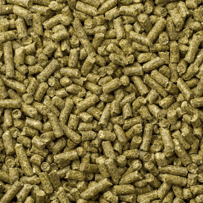 MAZURI CHINCHILLA 1 KG3