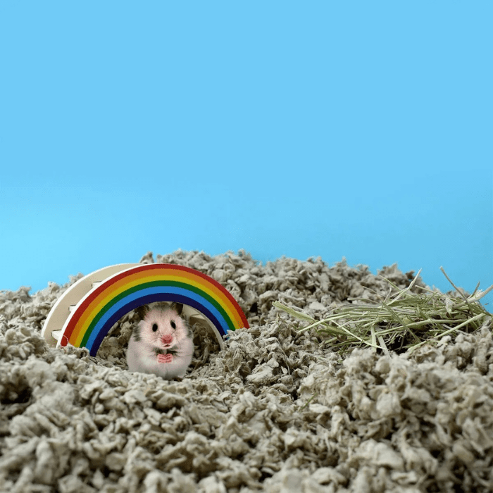 SUSTRATO CAREFRESH NATURAL 10 LT4