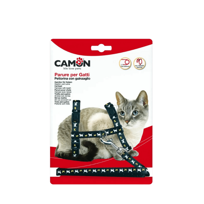 ARNES GATO ADULTO2