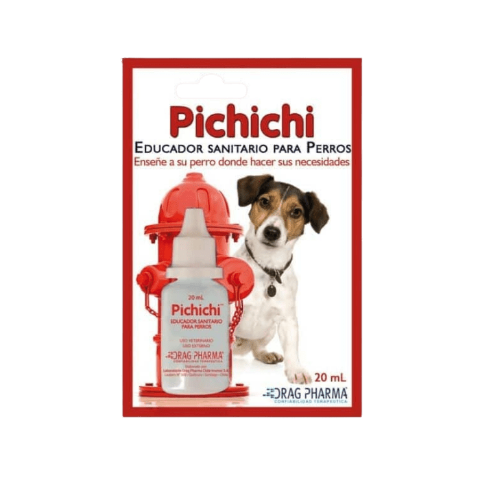 PICHICHI EDUCADOR1