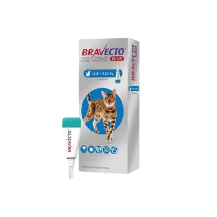 BRAVECTO GATO 2.8 KG A 6.25 KG1