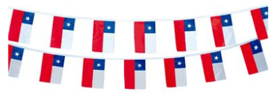 BANDERA GENERO 14X21CM 10 PCS