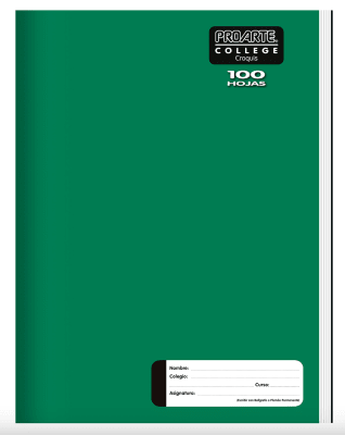 Cuaderno college Proarte croquis 100hjs
