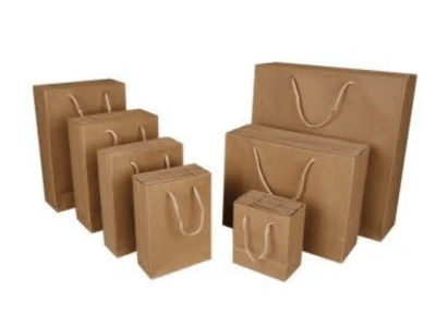 BOLSA DE PAPEL KRAFT PB-48-2C 24,5X19X8CM