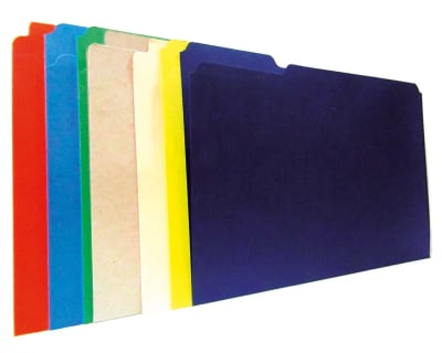 CARPETA CARTON
