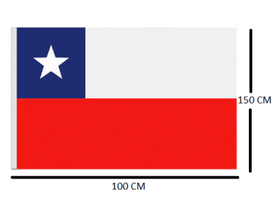 BANDERA GENERO 100X150 CM