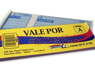 TALONARIO VALE POR HALLEY RONEO 100 HOJAS HALLEY