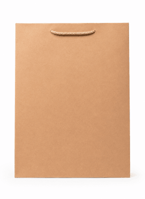 BOLSA DE PAPEL KRAFT PB-48-2C 24,5X19X8CM