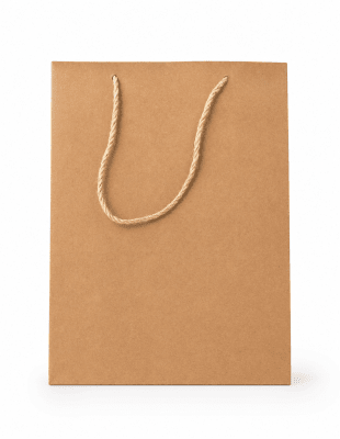 BOLSA DE KRAFT PB-48-2D  24,5X19X8CM