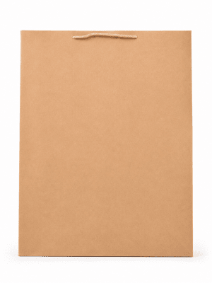 BOLSA DE PAPEL KRAFT PB-48-2A  42X31,5X10CM