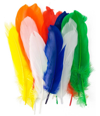 Plumas 12 colres 20cm