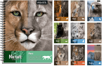 CUADERNO UNIVERSITARIO PROARTE NATURE 100 HOJAS 7 MM1