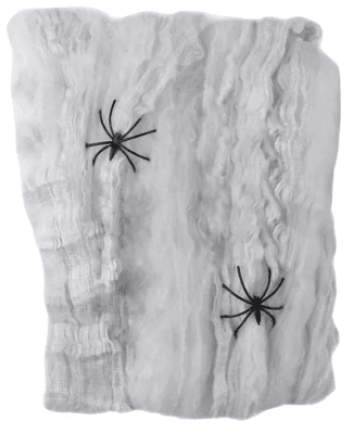 TELA DE ARAÑA BLANCA1
